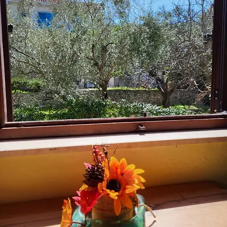 Apartament Lucky Star - 2 Bedroom, Sea View, Gated Yard, Free Parking, Bbq *